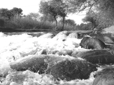 Jordan bei Kfar Blum. © Anemone Rüger