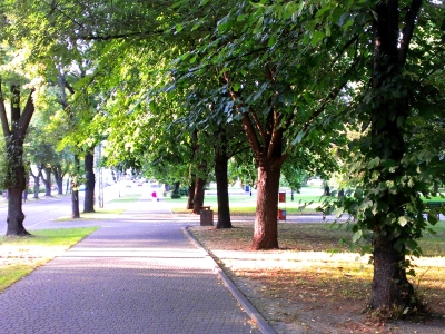 Heutiger Stadtpark, der an der Stelle angelegt wurde, an der bei der Errichtung des Ghettos mehrere Reihen jüdischer Häuser gesprengt wurden. © Anemone Rüger