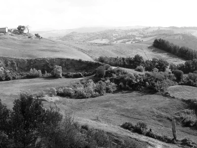 Hügellandschaft vor Montecalvo. © Anemone Rüger